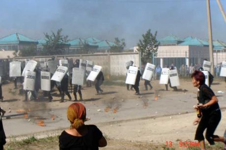 Click on image to see full-sized version 12.jpg