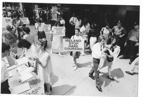 A past anti hare coursing picket at the NY Aer Lingus office...more such demos planned for 2013