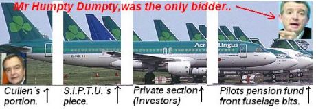 Aircraft auctioned off to sole bidder,a Mr Humpty Dumpty.