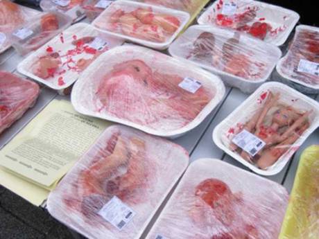 Click on image to see full-sized version meatabolition3.jpg