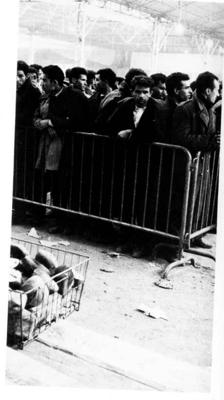 Internees in sports stadium where the Nazis had previously processed Jews