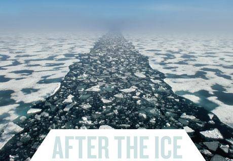 Click on image to see full-sized version after460.jpg